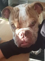 20191021_231348.webp