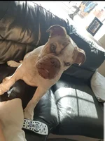 20191021_231439.webp