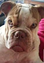 20191021_231508.webp
