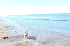 20191021_231619.webp