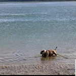 20191021_231758.webp