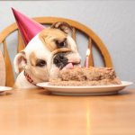 facebook-com-disneymom87-happy-birthday-bulldog-images-3.jpg
