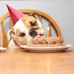 facebook-com-disneymom87-happy-birthday-bulldog-images-3.webp