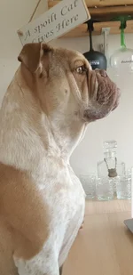 Screenshot_20191025-204156_Gallery.webp