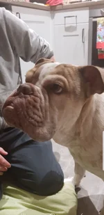 Screenshot_20191025-204204_Gallery.webp