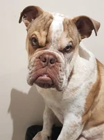 20191026_081155.webp