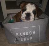 20191021_162315.webp