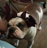 20191021_181605.webp