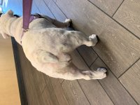 IMG_0498.jpeg IMG_0498.jpeg