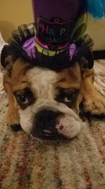 Ellie Birthday 11-1-19.webp