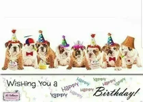 BullyBirthday3.webp