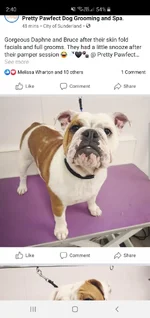 IMG-20191108-WA0011.webp