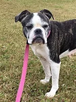 lucy.webp