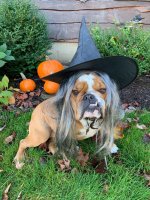 CF8008EB-BB2A-40CC-A297-B32EBD68C43E.jpeg CF8008EB-BB2A-40CC-A297-B32EBD68C43E.jpeg