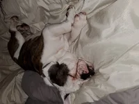 20191108_091236.webp