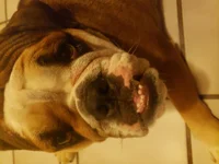20191130_174323.webp