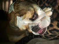20191202_075237.webp