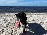angus beach.jpg angus beach.jpg