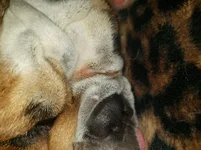 20191202_075447.webp