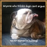 Bulldogs 39.jpg