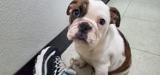20191204_190347.webp