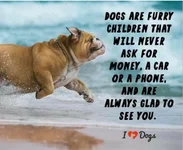 Bully kids.webp
