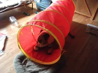DSCF4019.webp