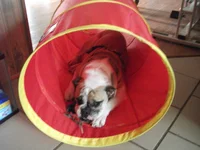 DSCF4024.webp
