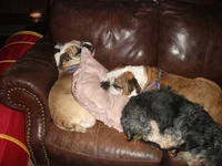 DSCF4043.webp