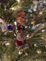 ornament.webp ornament.webp