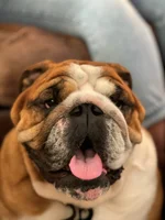 Cooper2020.webp