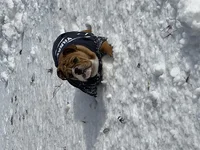 8DD046DF-EEE4-4857-B80B-2D1ED819827A.webp