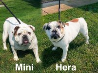 mini n hera.jpg mini n hera.jpg