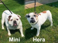 mini n hera.webp mini n hera.webp