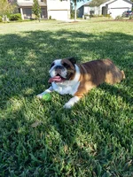 IMG_20201223_112946725_HDR (2).webp