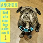 anchor.webp