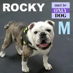 rocky.webp