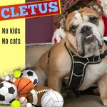 cletus.webp