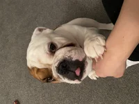 F51AAC74-44C1-45E6-8CC5-8A2C398C08F7.webp F51AAC74-44C1-45E6-8CC5-8A2C398C08F7.webp
