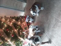 20191223_084003[10476].webp