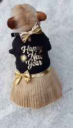 20191225_171721.webp
