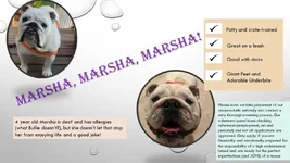 marsha.webp