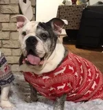 maisy grace.webp maisy grace.webp