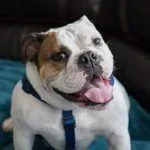 munson.webp