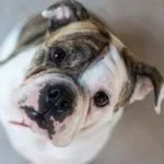 ellie.webp ellie.webp