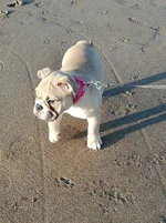 IMG_20200101_130404_1.webp