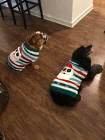 Christmas twins2.webp