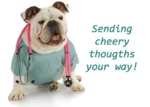 Bulldog doctor.webp