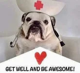 Bulldog Nurse.webp