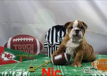 20210130_101205.webp